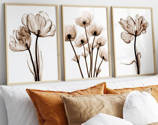 Set of 3 wall pictures tree rings