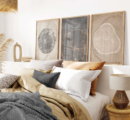 3er-Set Baumringe b161